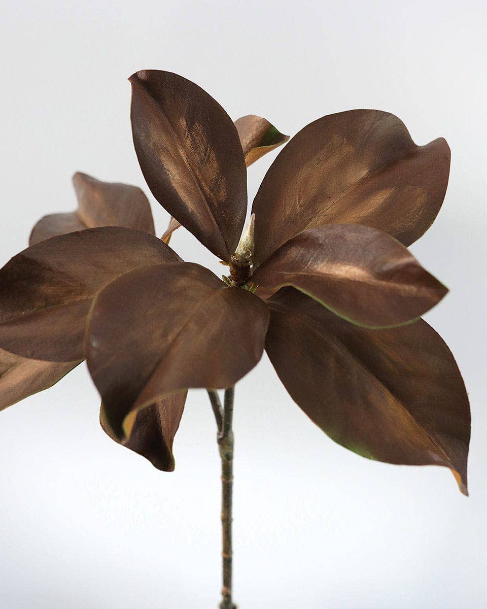Fall Magnolia Leaf Branch 25
