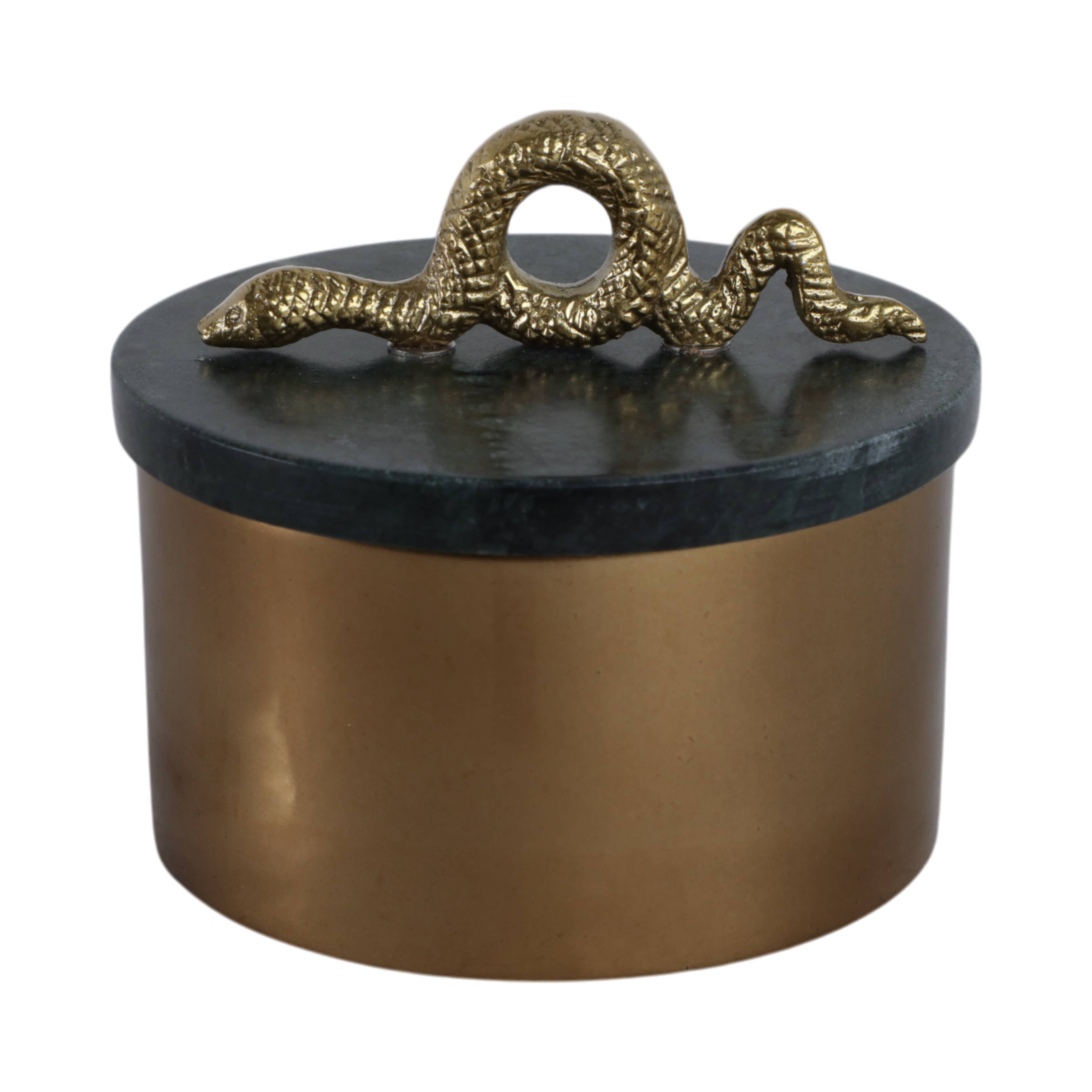 Green Metal Snake Box