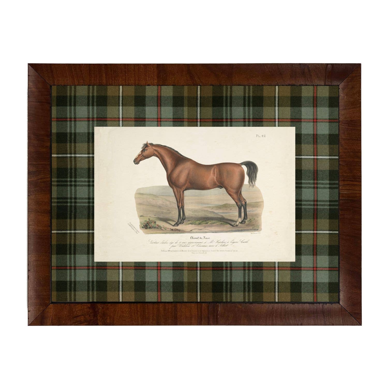 Vintage Horse Matted in Green and Brown Tartan