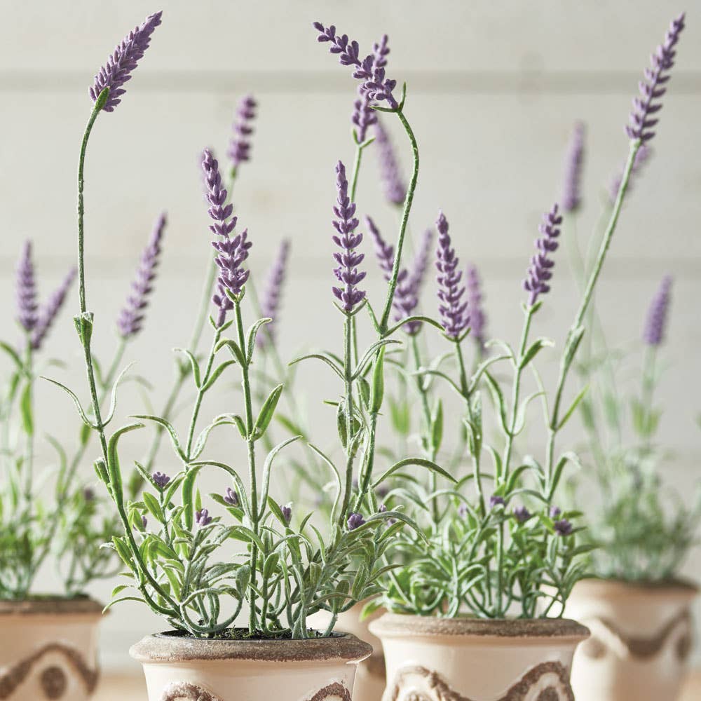 French Lavender Drop-In 13