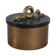 Green Metal Snake Box