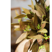 Oval Leaf Eucalyptus Bundle in Brown