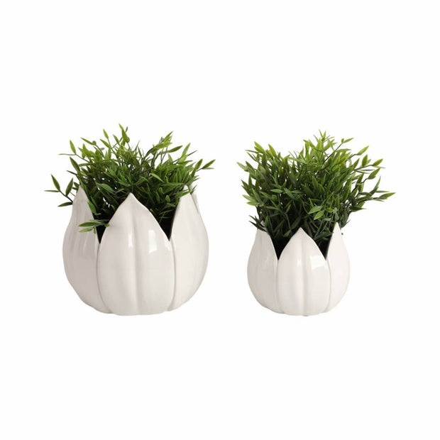 White Ceramic Tulip Petal Planters