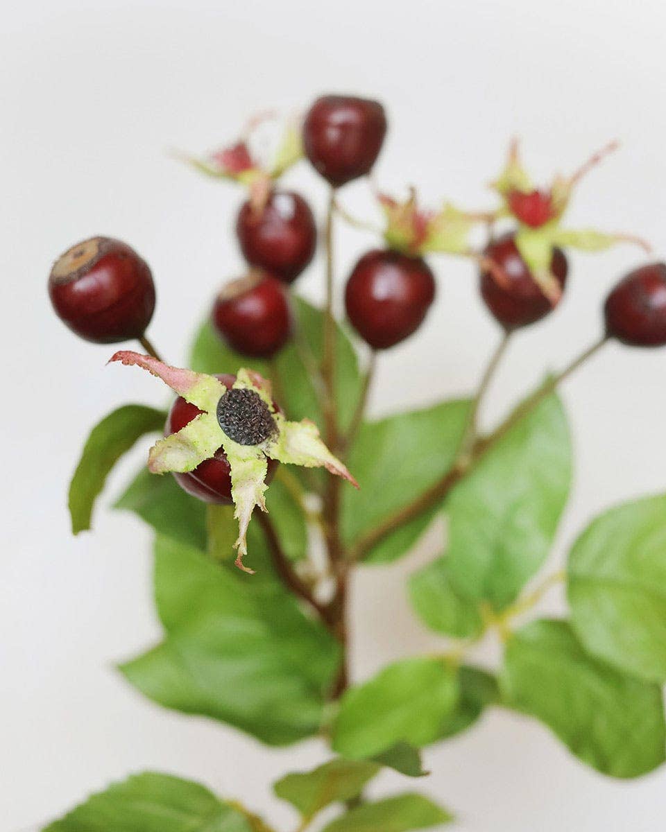 Artificial Rose Hip Berries 18