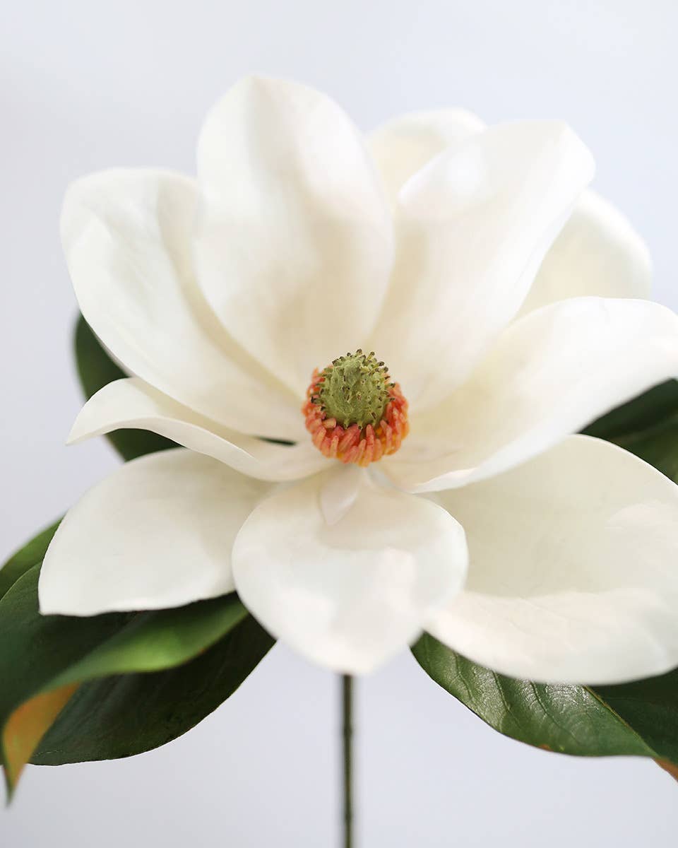 White Faux Magnolia 29