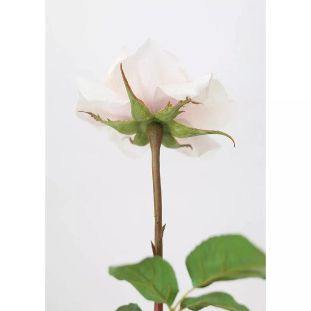 Real Touch Dutchess Rose in Blush - 20"