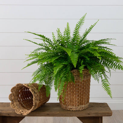 Scalloped Woven Basket