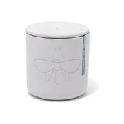 Modern Citronella Candle - Cypress Drift