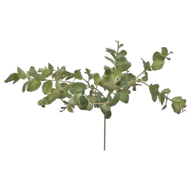 Mint Bush 19"