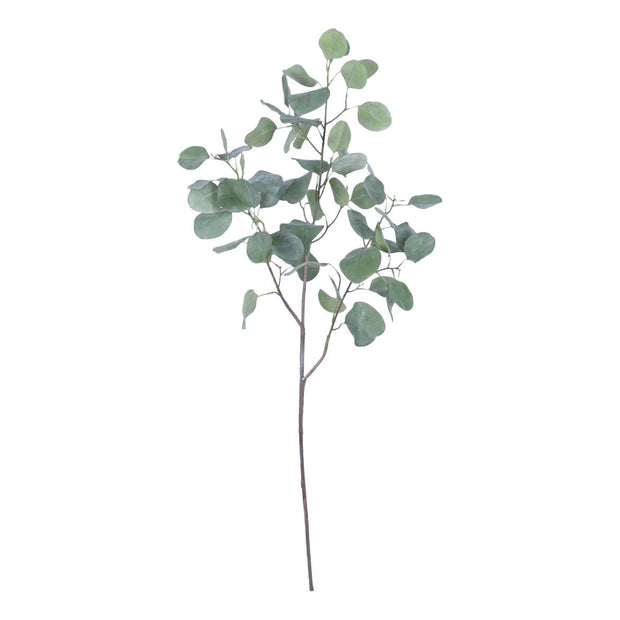 Eucalyptus Spray 40"