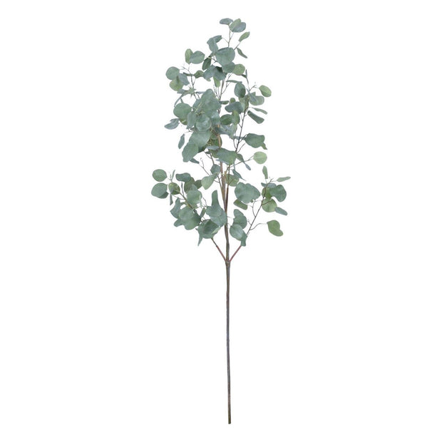 Eucalyptus Spray 60"