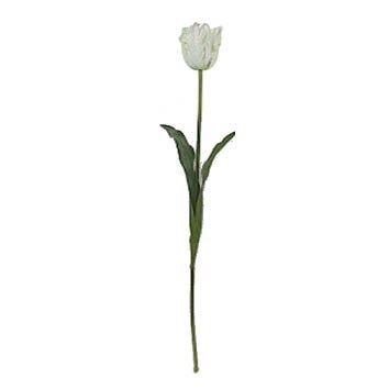 Parrot Tulip Stem 31"