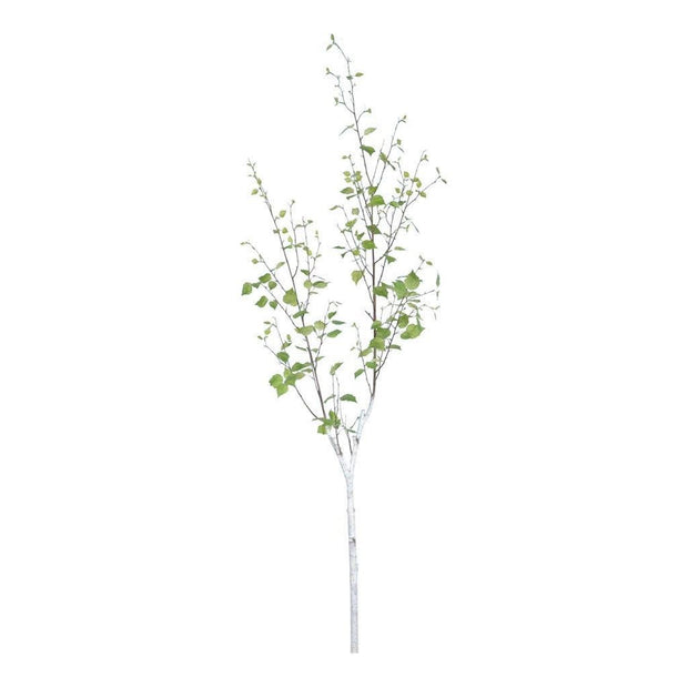 Birch Spray Stem 71"