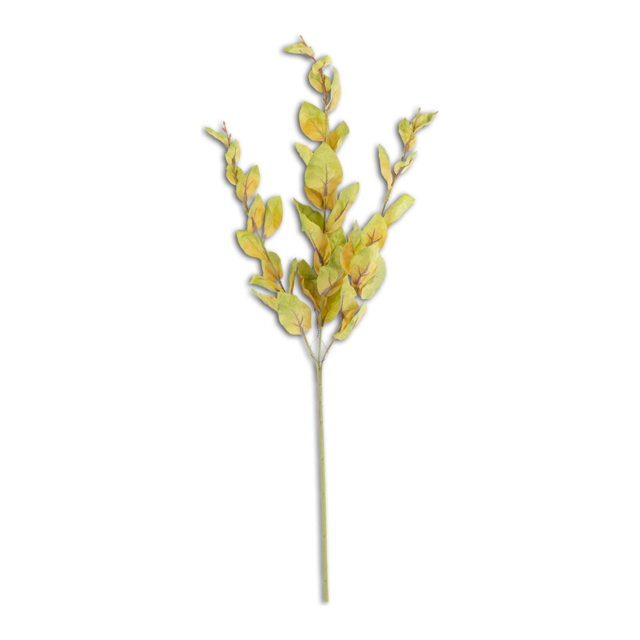 Basil Leaves Spray - 28