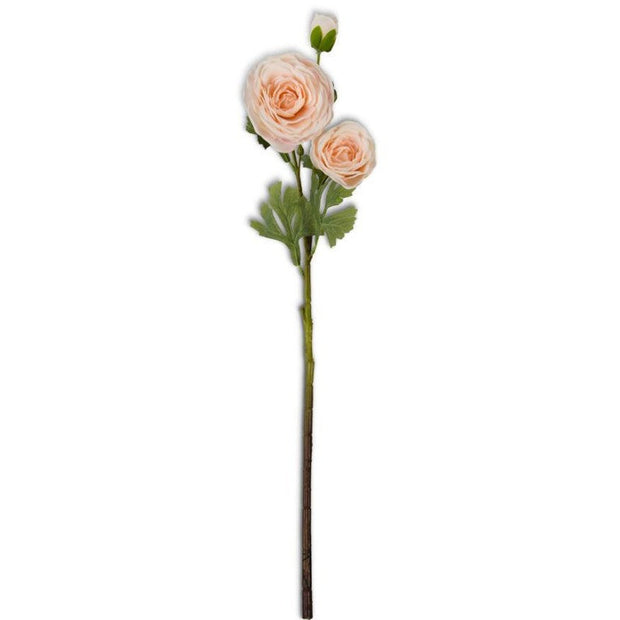 25" Peach Ranunculus Stem