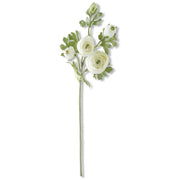 21.5" White Ranunculus Stem