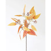 Terracotta Eucalyptus Leaves