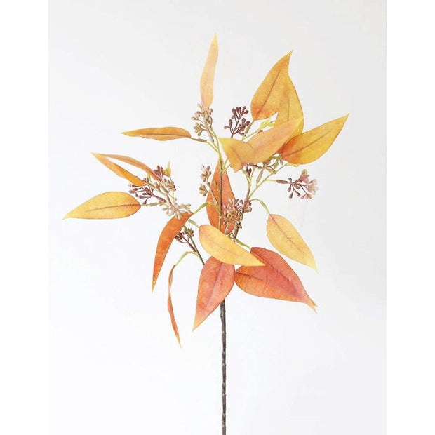 Terracotta Eucalyptus Leaves