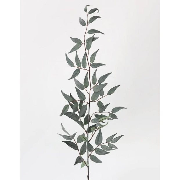 Italian Ruscus Leaf Branch