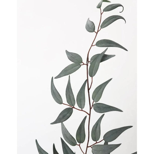 Italian Ruscus Leaf Branch