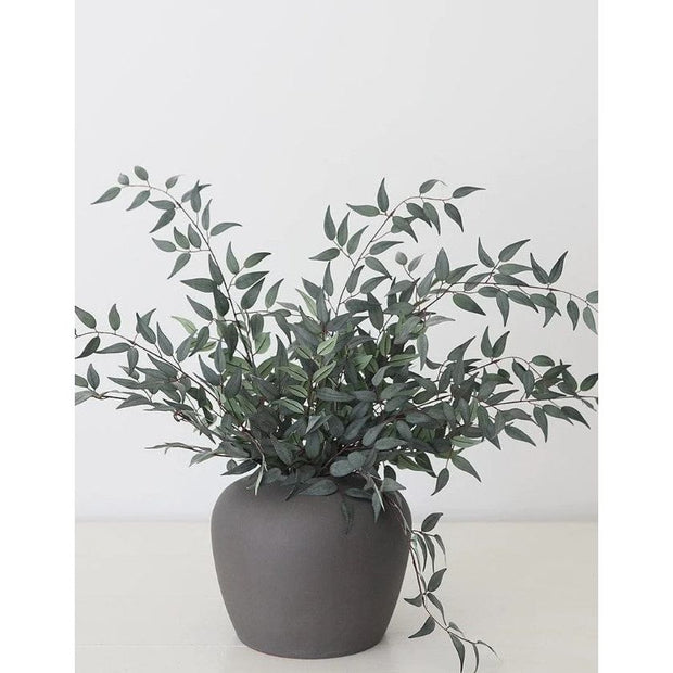 Italian Ruscus Leaf Branch