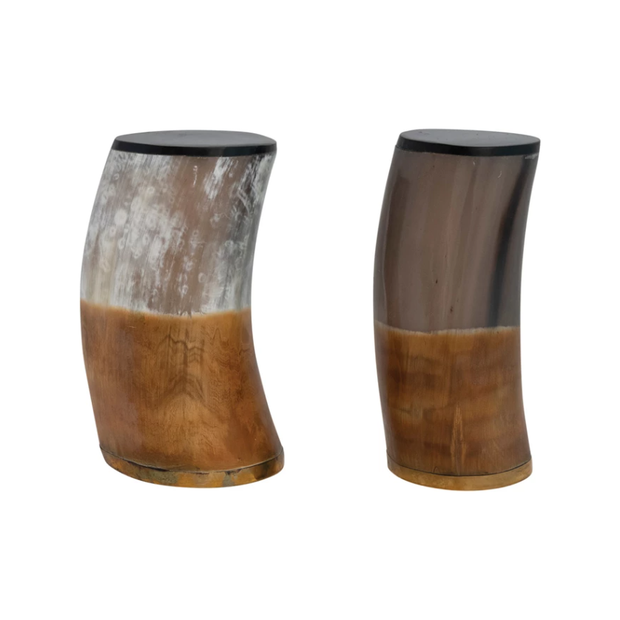 S/2 - Horn & Brass Bookends