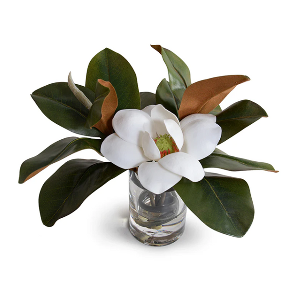 Magnolia with Blossom