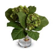 Hydrangea Bud Arrangement