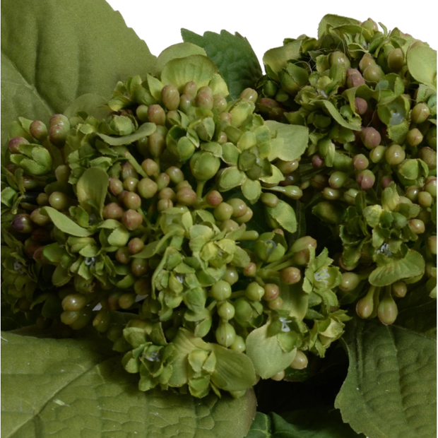 Hydrangea Bud Arrangement