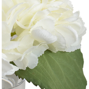 Hydrangea Cutting - Cream/White