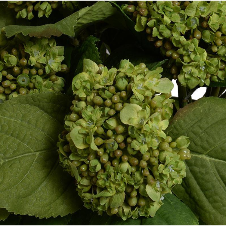 Hydrangea Bud Arrangement - Green 2
