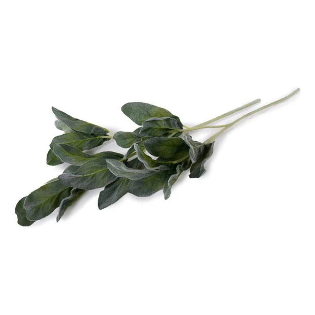 Lamb's Ear Spray - 25"