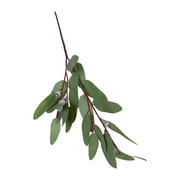 Eucalyptus Seeded Greenery Spray - 28"L