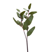 Eucalyptus Seeded Greenery Spray - 28"L