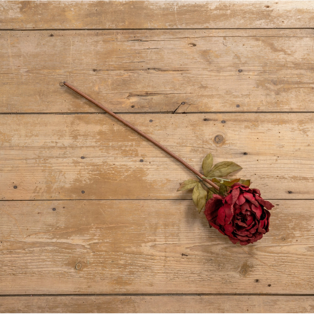 27" Burgundy Peony Stem