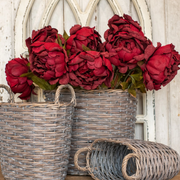 27" Burgundy Peony Stem