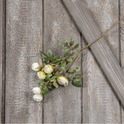 27" White & Green Rose Spray