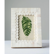 Bone Photo Frame - 4" x 6"