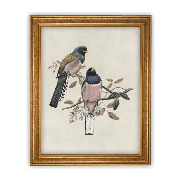 11" x 14" Framed Canvas Bird Art