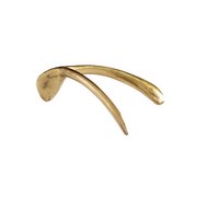 Wishbone Token