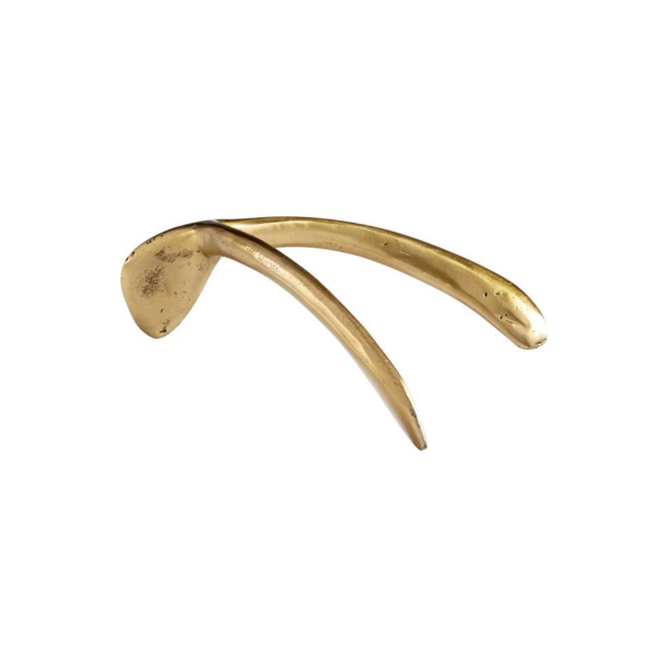 Wishbone Token