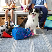 Malta Blue Machine Washable Rug