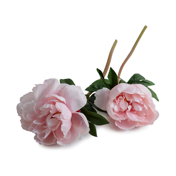 Peony Stem with Leaves, 21" - Pink