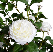 56" Rose Tree Topiary With White Flowers