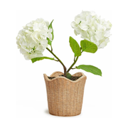 Scalloped Edge Cachepot