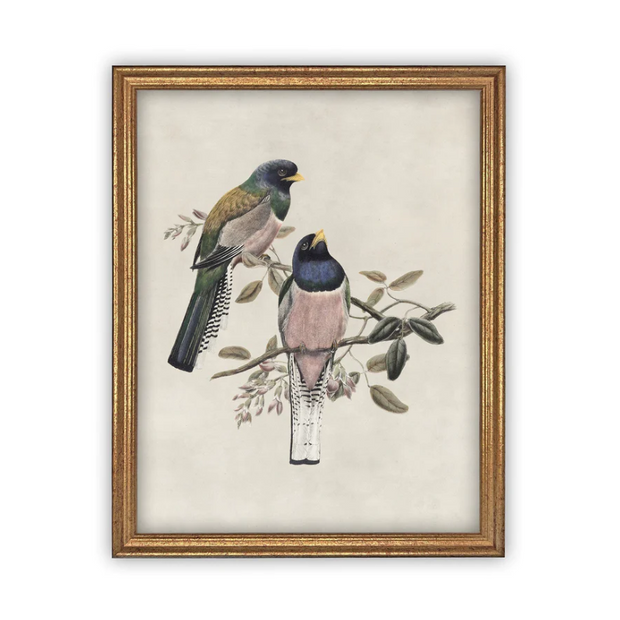 8" x 10" Framed Canvas Bird Art