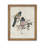 11" x 14" Framed Canvas Bird Art