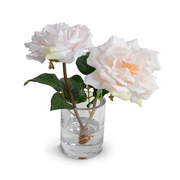 Rose Cutting in Glass - Pink