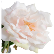 Rose Cutting in Glass - Pink