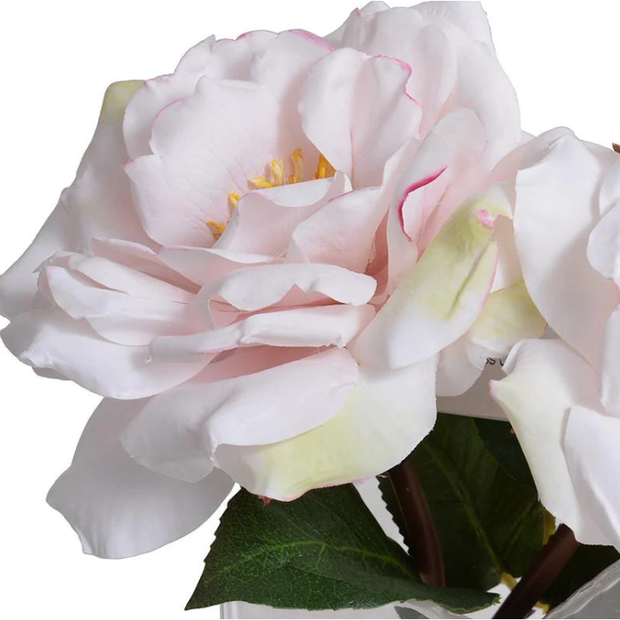 Rose Cutting in Glass - Pink